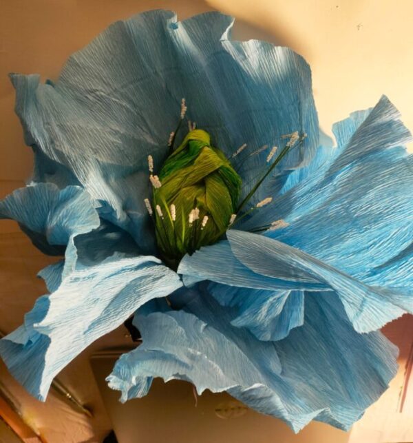 Large Blue Poppy II