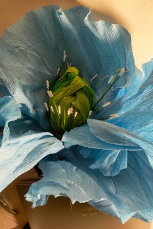 Large Blue Poppy II